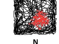 Mapping Content: Why Cognitive Maps are Non-conceptual Mental&nbsp;States